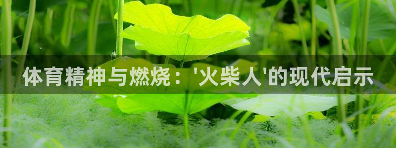 yy易游官网下载官方客服电话:体育精神与燃烧:\'火柴人\'