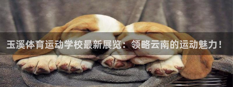 yy易游官方正版app娱乐首页官网下载:玉溪体育运动学校最新